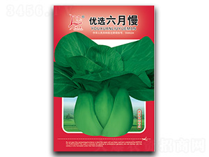 ��(y��u)�x������-��˷N��-�}�ʷN�I(y��)