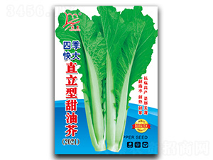 ֱ�������ͽ�-��˷N��-�}�ʷN�I(y��)