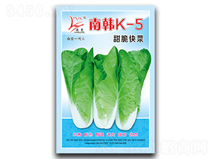 ���nK-5�����-��˷N��-�}�ʷN�I(y��)