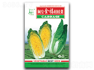 �}�ʽ����޲�-���޲˷N��-�}�ʷN�I(y��)