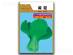 �}��-��˷N��-�}�ʷN�I(y��)