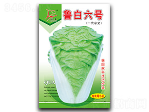 ������̖-�ײ˷N��-�}�ʷN�I(y��)