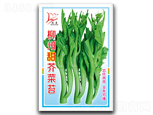 ��������̦-��̦�N��-�}�ʷN�I(y��)