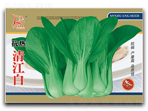 �����彭��-��˷N��-�}�ʷN�I(y��)