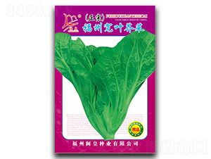 ���݌��~���-��˷N��-�}�ʷN�I(y��)