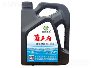 ������΢�������-����ِ��