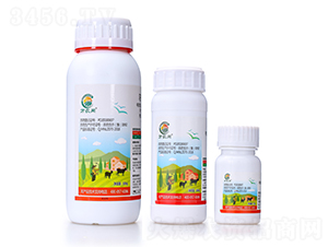 ߻�x(ch��ng)��-��(zhu��n)�����Ե��wʭ��-������