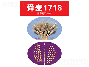 ˴��1718-С���N��-��(li��n)