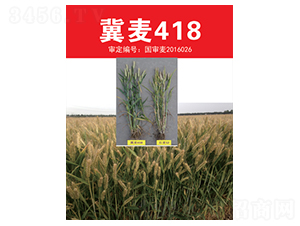 ����418-С���N��-��(li��n)