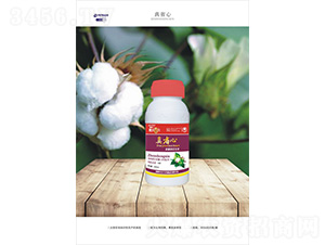 �½��޻���(zhu��n)���{(di��o)��(ji��)��-��ʡ��-һ����