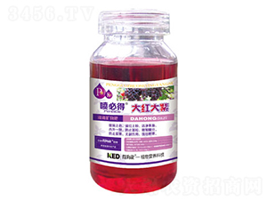 ��t����-���ص�-������