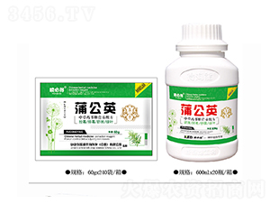 蒲公英-噴必得-康恩地