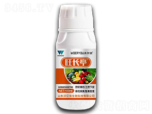 ���Lͤ-�֠���(y��u)