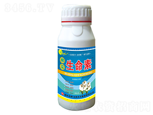 �޻���(zhu��n)���{(di��o)��(ji��)��-�޻�������-�����r(n��ng)��