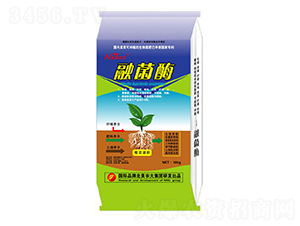 �_ʩ����-�ھ�ø-�����r�� 