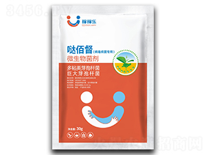 ������������΢�������-�}�۶�-�ڼژ�(l��)