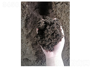 �G��������̿��-�t�ķ�