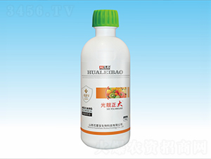 ���n����-���ٌ�����