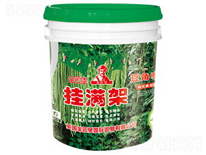 ���ǌ��Ò�M��-����