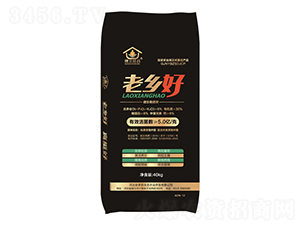 ΢�������-���l(xi��ng)��-������