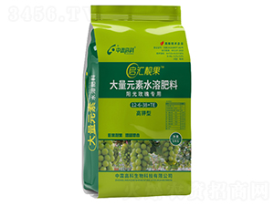 ꖹ�õ�匣�ø�⛷�12-6-38+TE-���R�n��-���ظ߿�