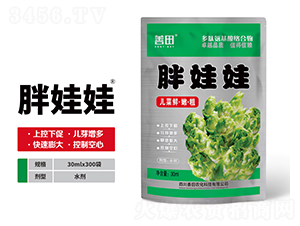 ������-����