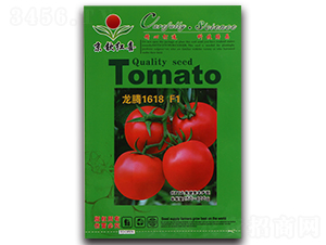 ���t���N��-���v1618F1-���J�tϲ