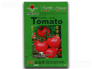 ���t���N��-���SF1-���J�tϲ