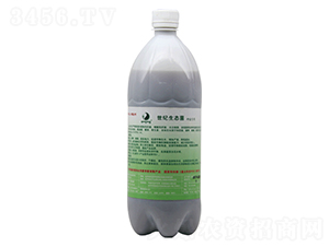 ����-ƽ����