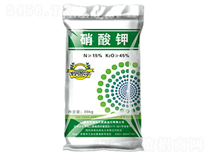 �����-��Ȫ����