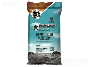 ��������-��Ȫ����