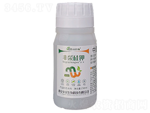 �S�ɹ��-�S������