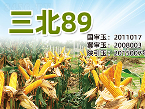 ����89-���׷N��-�����N�I(y��)