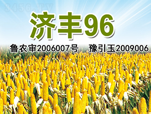 ��(j��)�S96-���׷N��-�����N�I(y��)