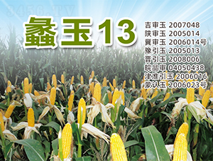 ���13-���׷N��-�����N�I(y��)