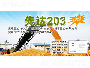 ���_(d��)203-���׷N��-�����N�I(y��)