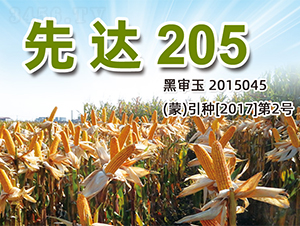 ���_(d��)205-���׷N��-�����N�I(y��)