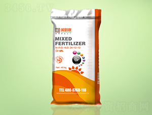 �������׷����24-12-12-�e����-�����r�I(y��)