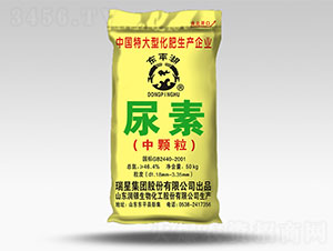 ���w������-�|ƽ��-����