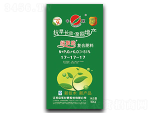 �G���܏�(f��)�Ϸ���17-17-17-�Ж|