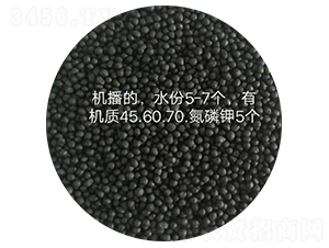 �ʠ�Ԫ�󶹶���֬ȫˮ�ܾ���