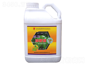 �~���_�ʾ�-���Z�S