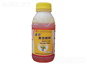 �~���ۑB(t��i)���-���Z�S