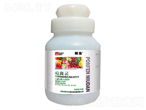 ľ�|(zh��)�Ǵ����w�}-�����`-���Z�S