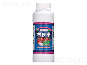 ����������-�����S-�����S