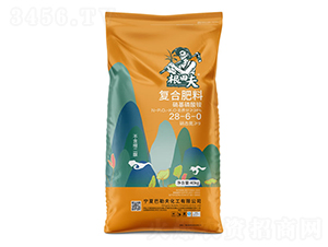 �ͺϷ���28-6-0-�����-���շ�