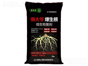 �VԴ��ֲ��΢�������-�д󠔱�����-Ӣ����