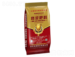 40kg�������26-9-8-�Ͽ��ʘI(y��)