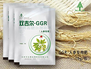 GGR�˅����÷�-���ȵ�