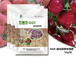 GGR����������-���ȵ�